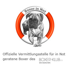 Boxer-Klub E.V. Boxer in Not