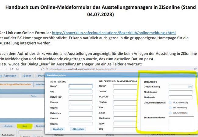 Handbuch_Online-Meldeformular_04.07.2023